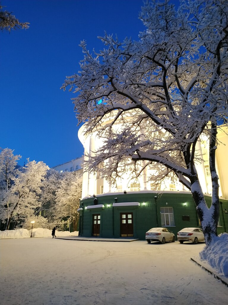 University Northern Arctic Federal University named after M.V. Lomonosov, Arkhangelsk, photo