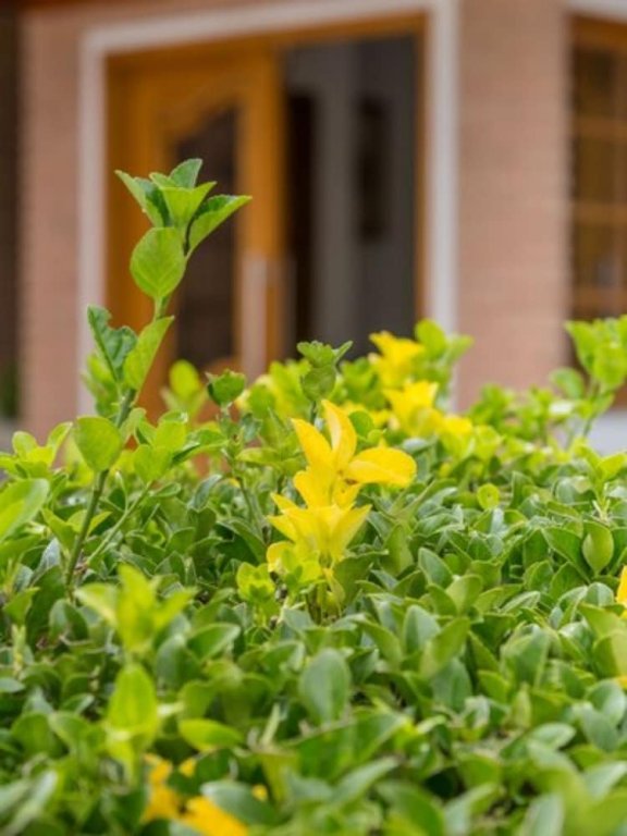 Фото Pousada Morro do Elefante