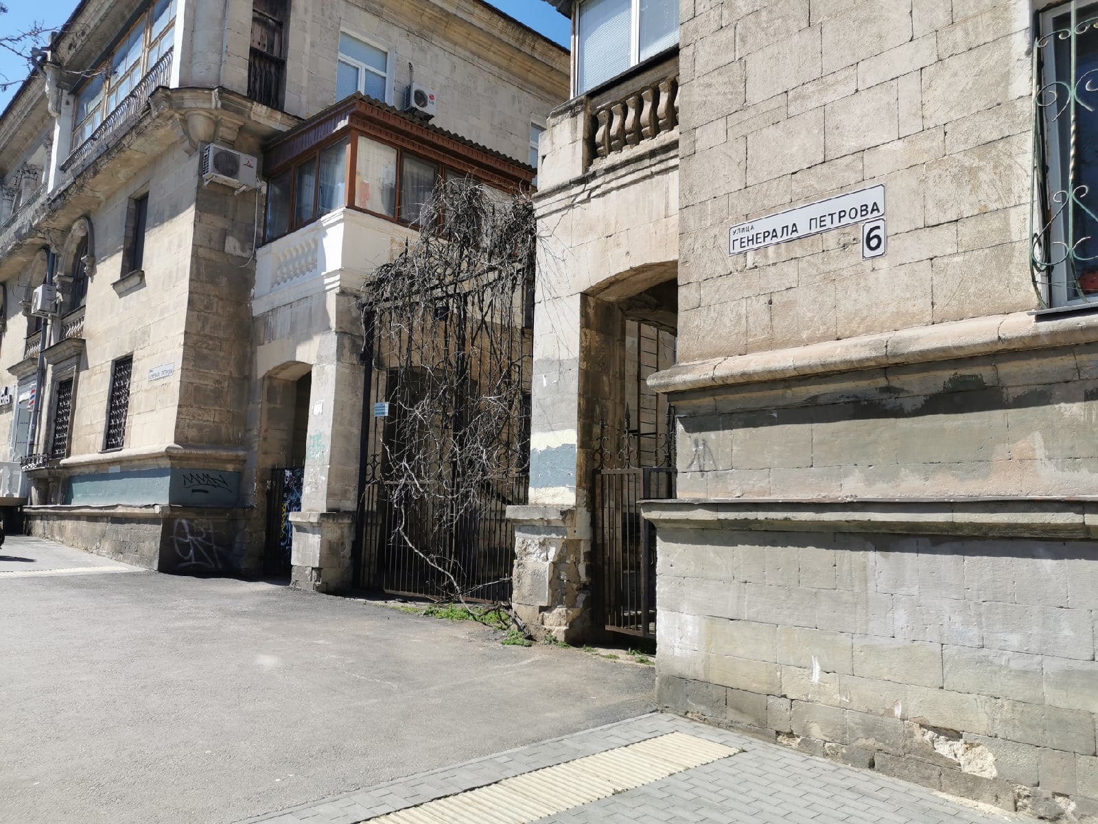 Фото Виноградная лоза