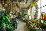 Зелень Студия ландшафтного дизайна, декора и флористики (Губернская ул., 64, Тюмень), магазин цветов в Тюмени