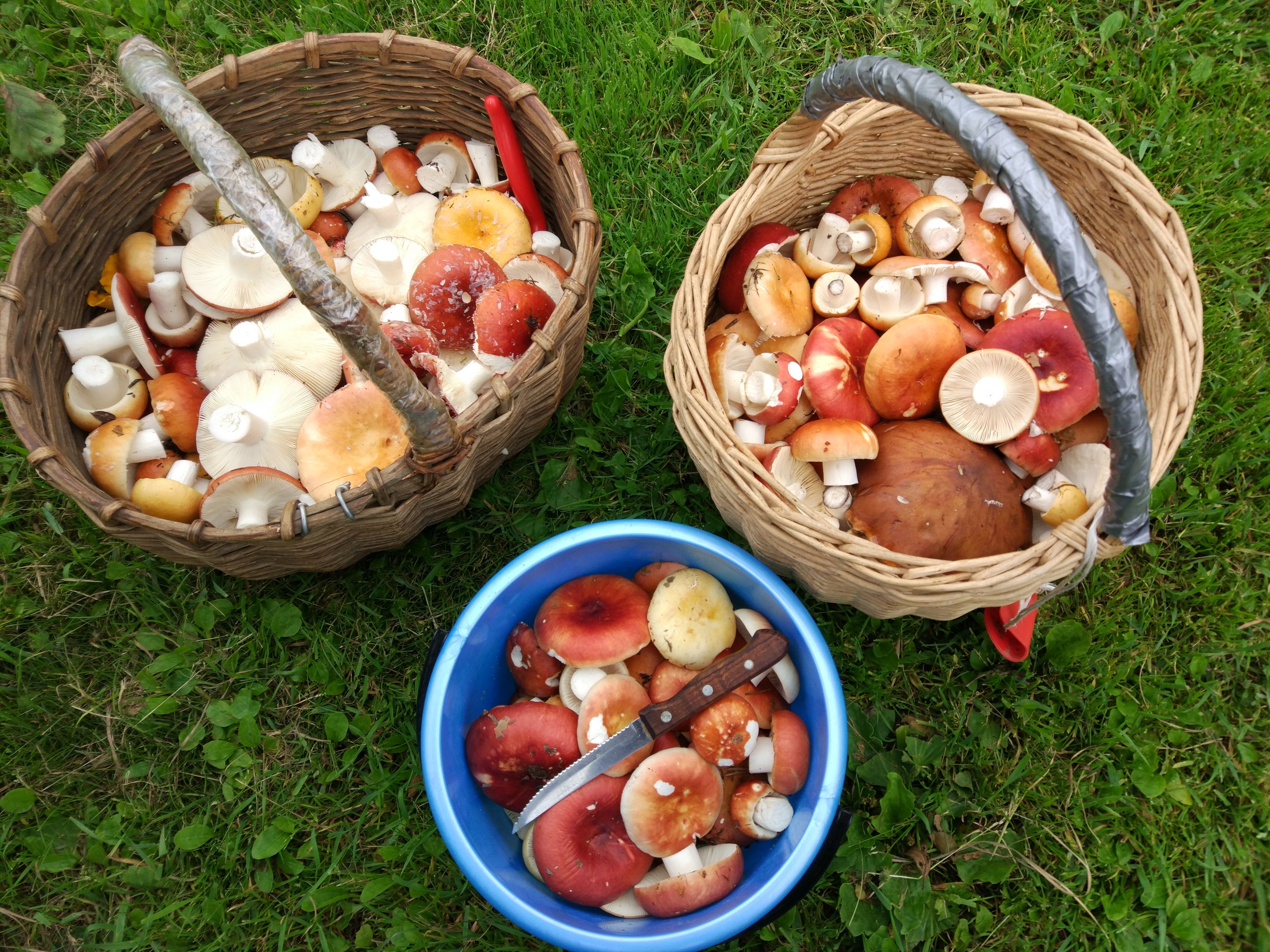 Фото Домик у озера