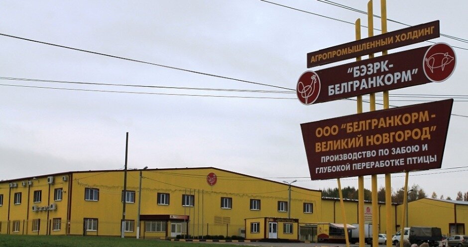 Ооо агросейл нижний новгород фото