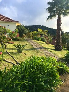 House With one Bedroom in Madère, With Wonderful sea View, Furnished Garden and Wifi Near the Beach