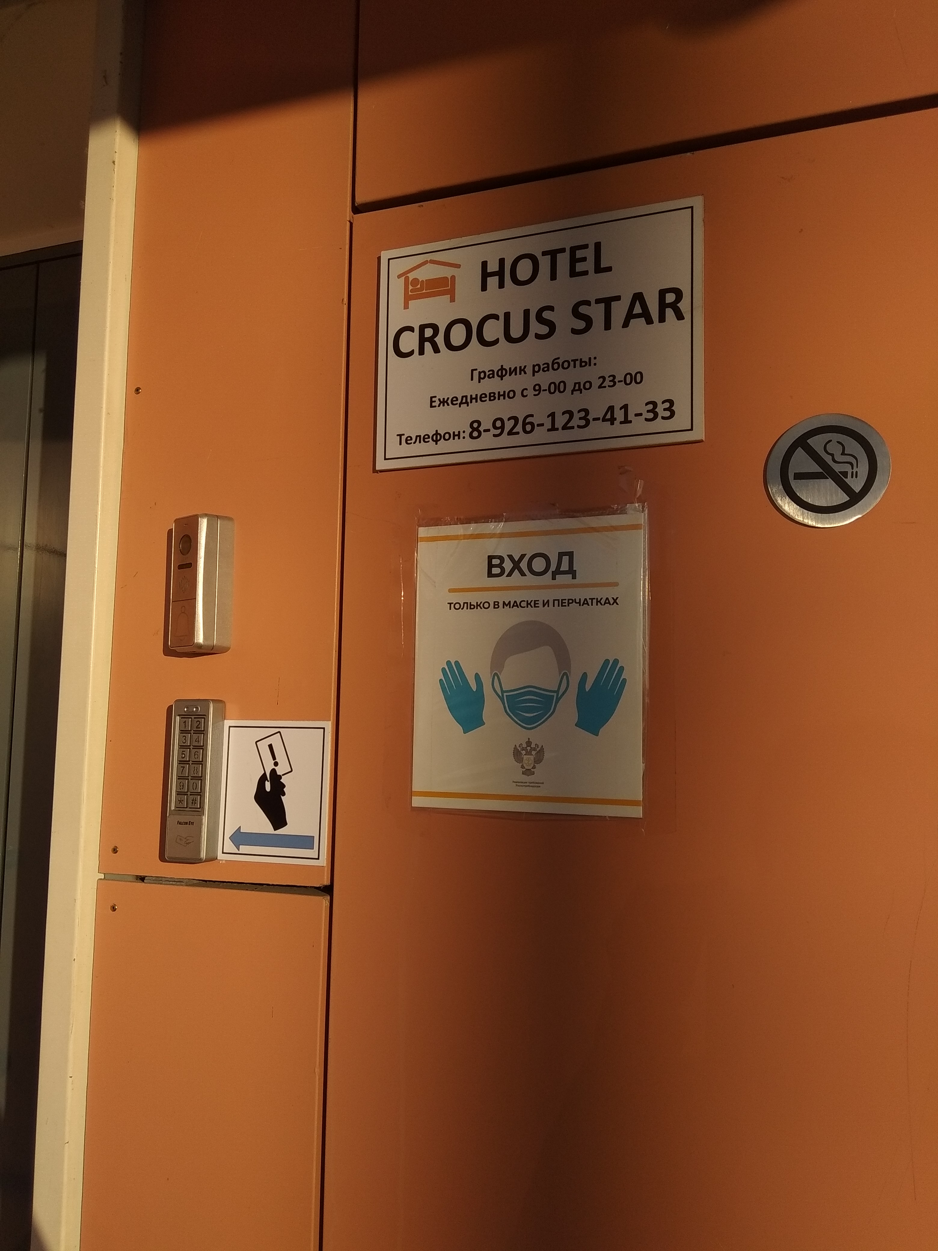 Фото Crocus Star