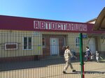Svetlogradskaya avtostantsiya (Svetlograd, Komsomolskaya ulitsa, 60), estación de autobuses, estación de autobuses