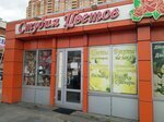 Bella Vita (Initsiativnaya Street, 7Б), flower shop