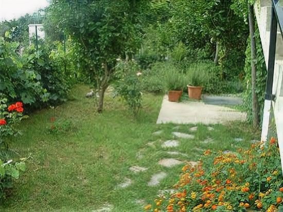 Фото Giardino dei Limoni