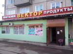 Вектор (ул. Кирова, 24), строительный магазин в Сорске