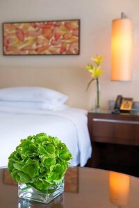 Гостиница Grand Hyatt Macau