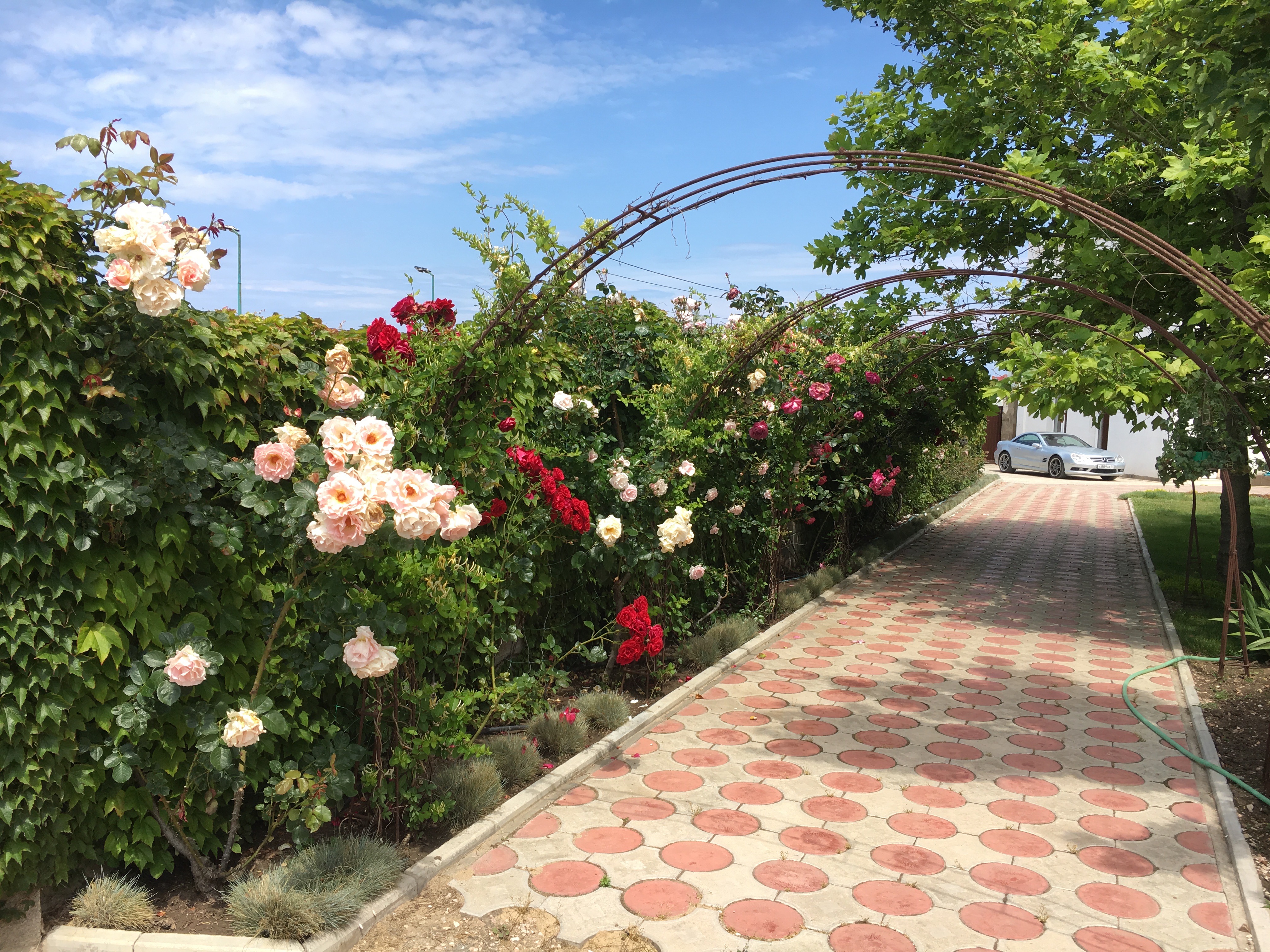 Фото Лето клуб