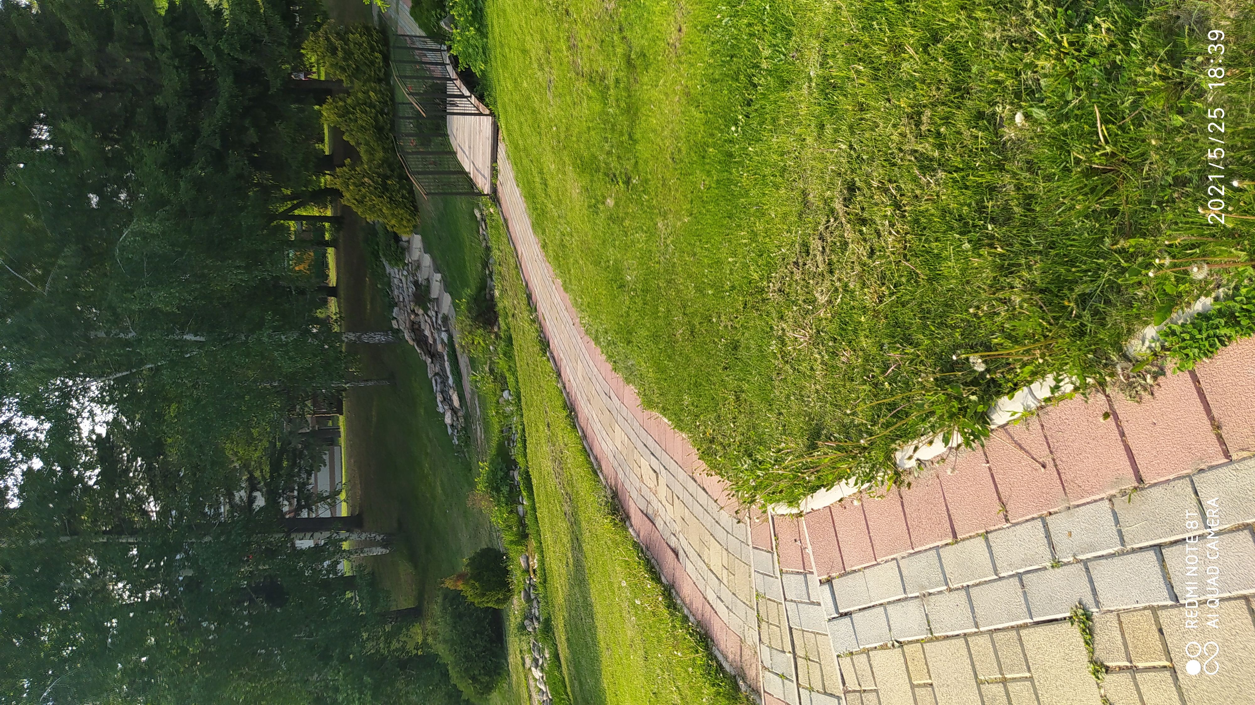 Фото Сосновый бор