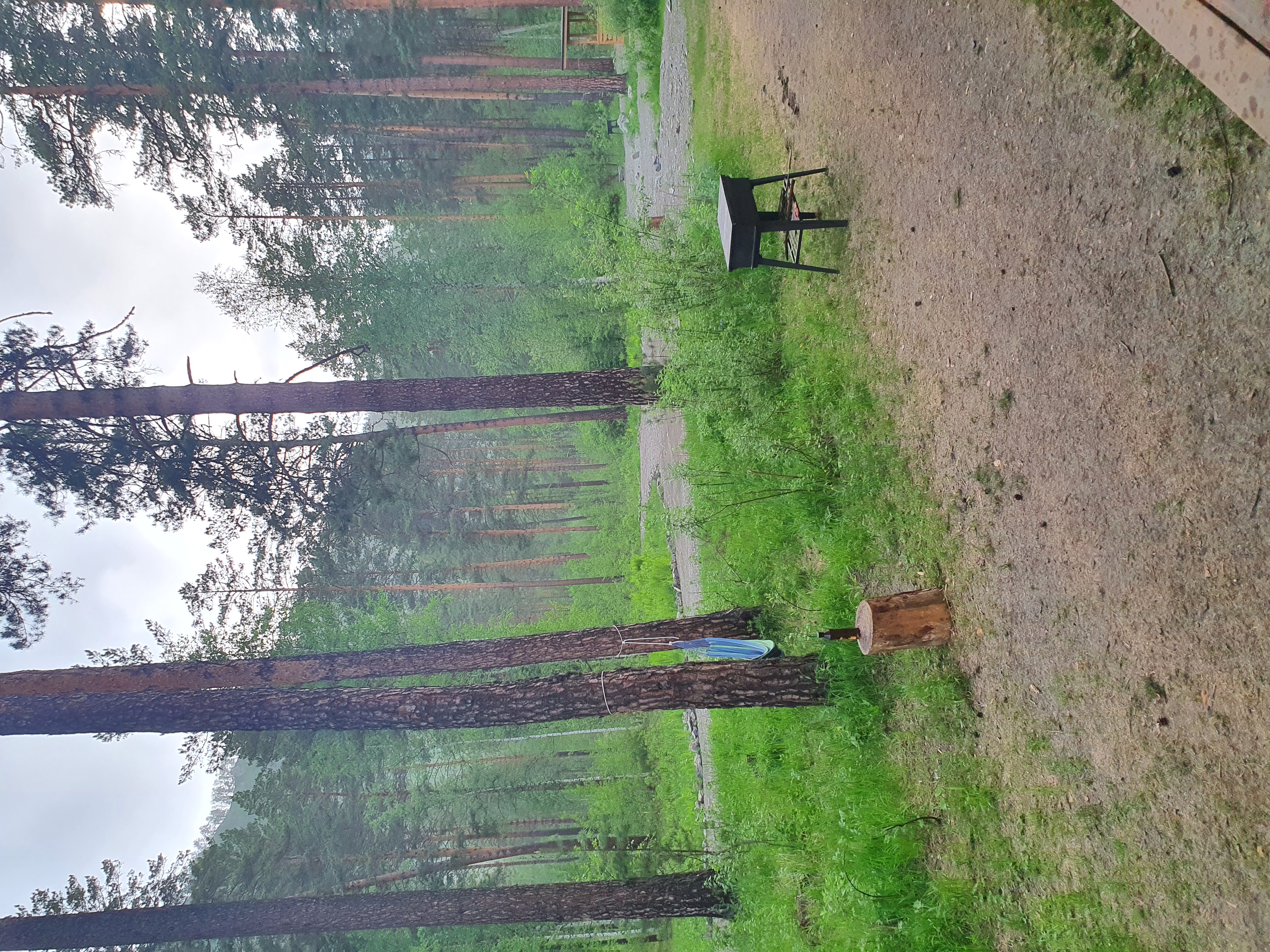 Фото Таналтай