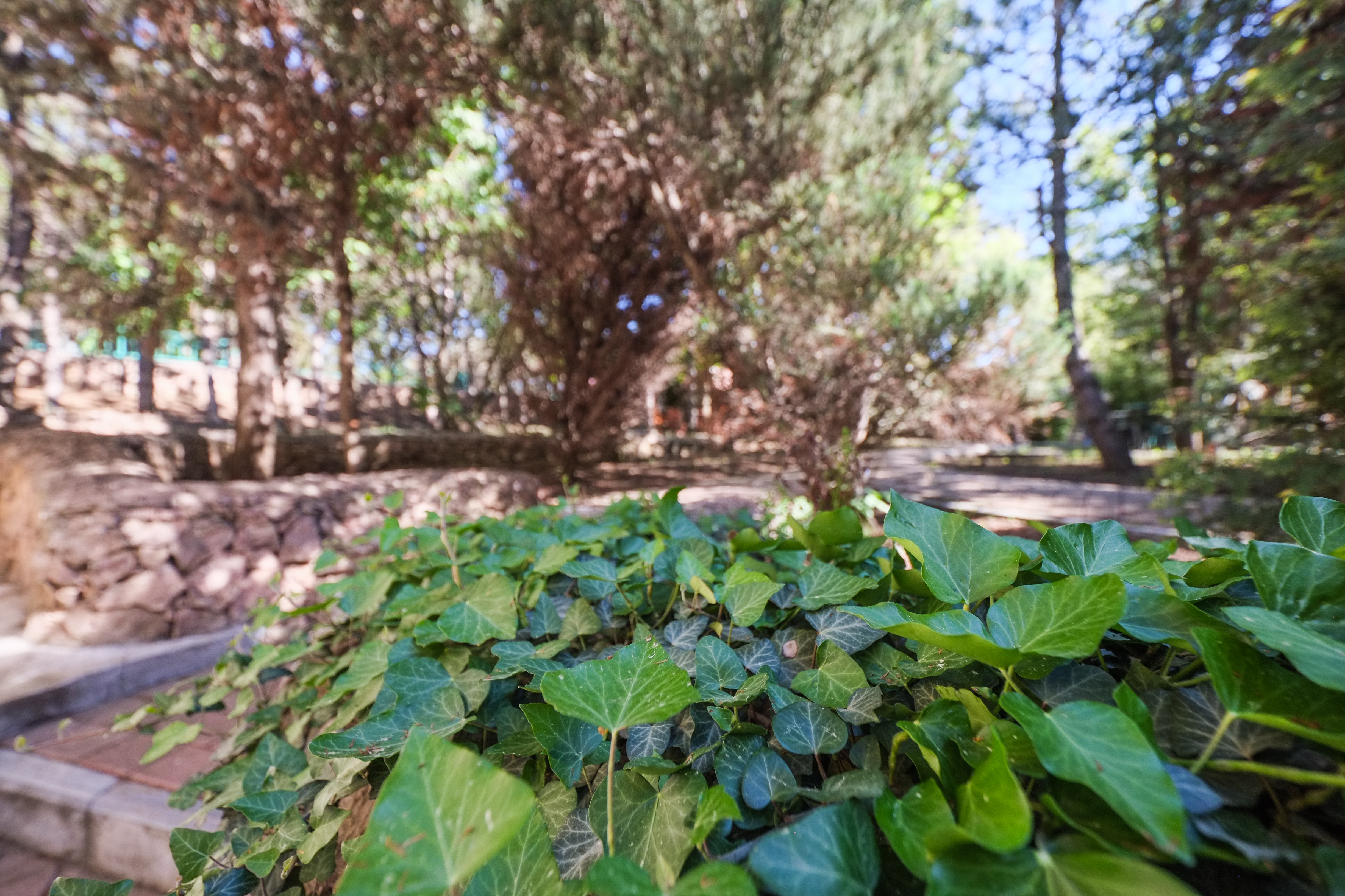 Фото Качинская