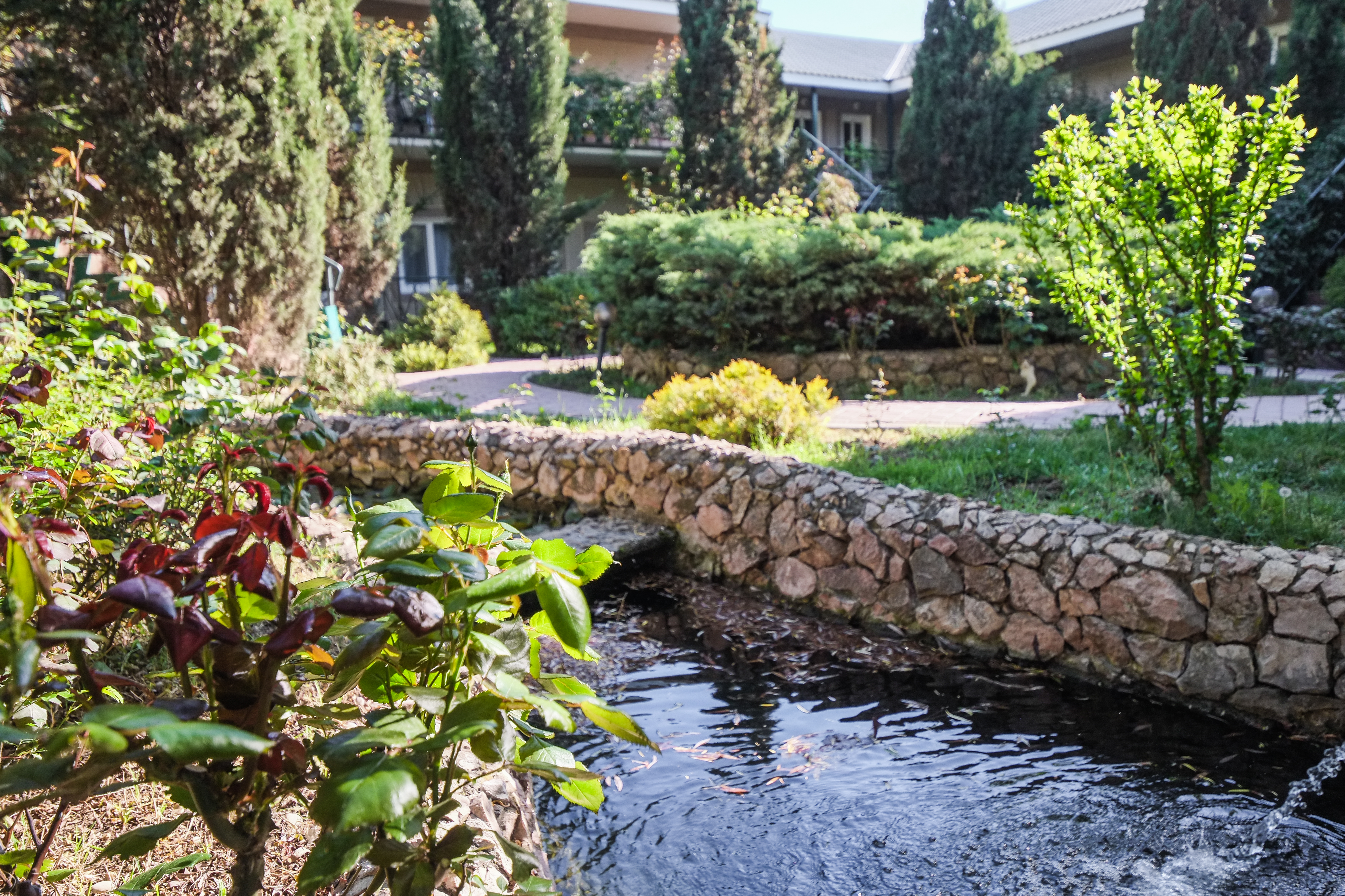 Фото Качинская