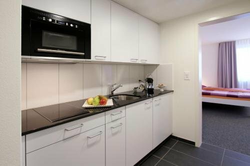 Гостиница Apartmenthaus Zum Trillen Basel City Center в Базеле