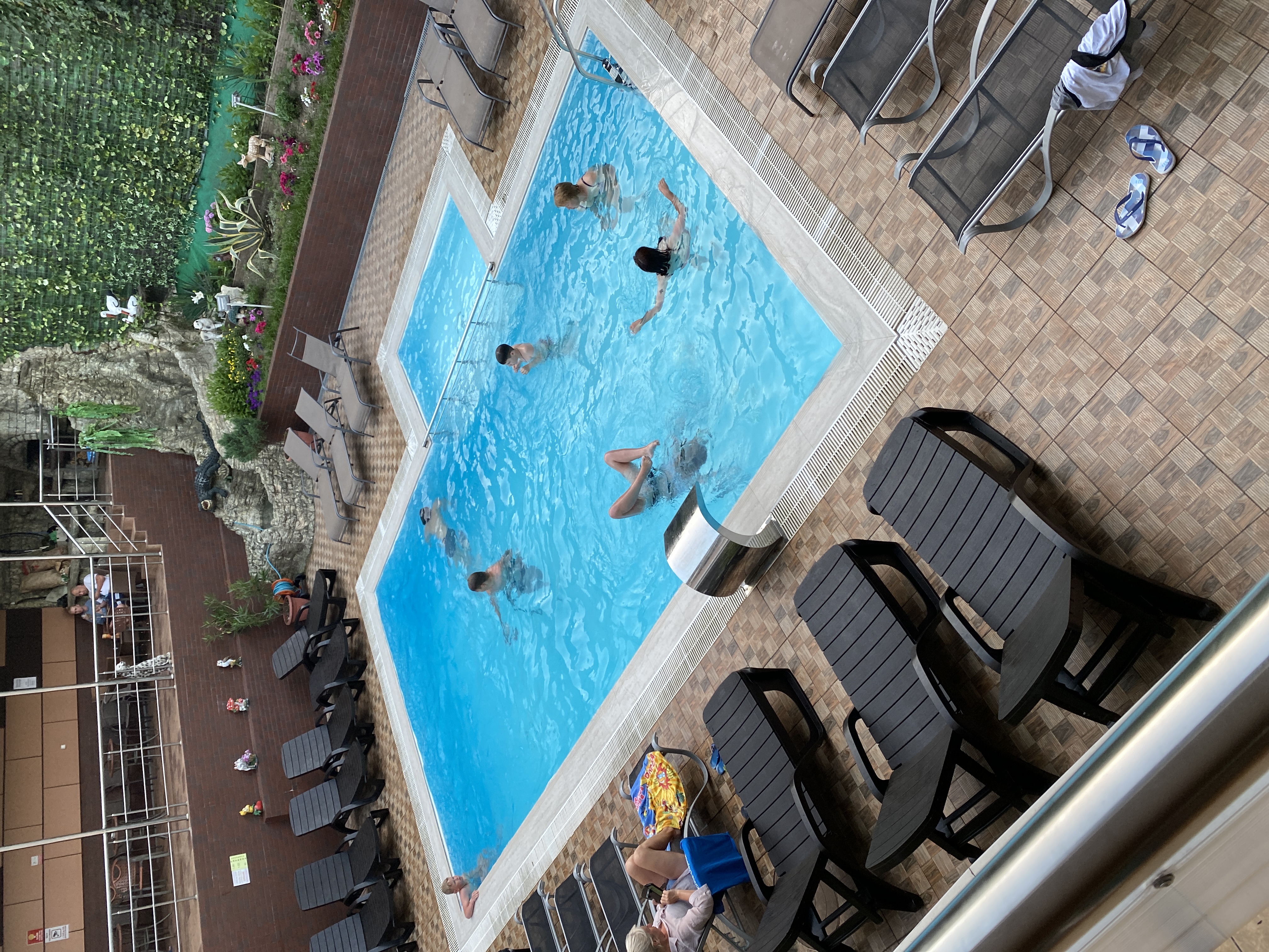 Фото Азалия Мимоза