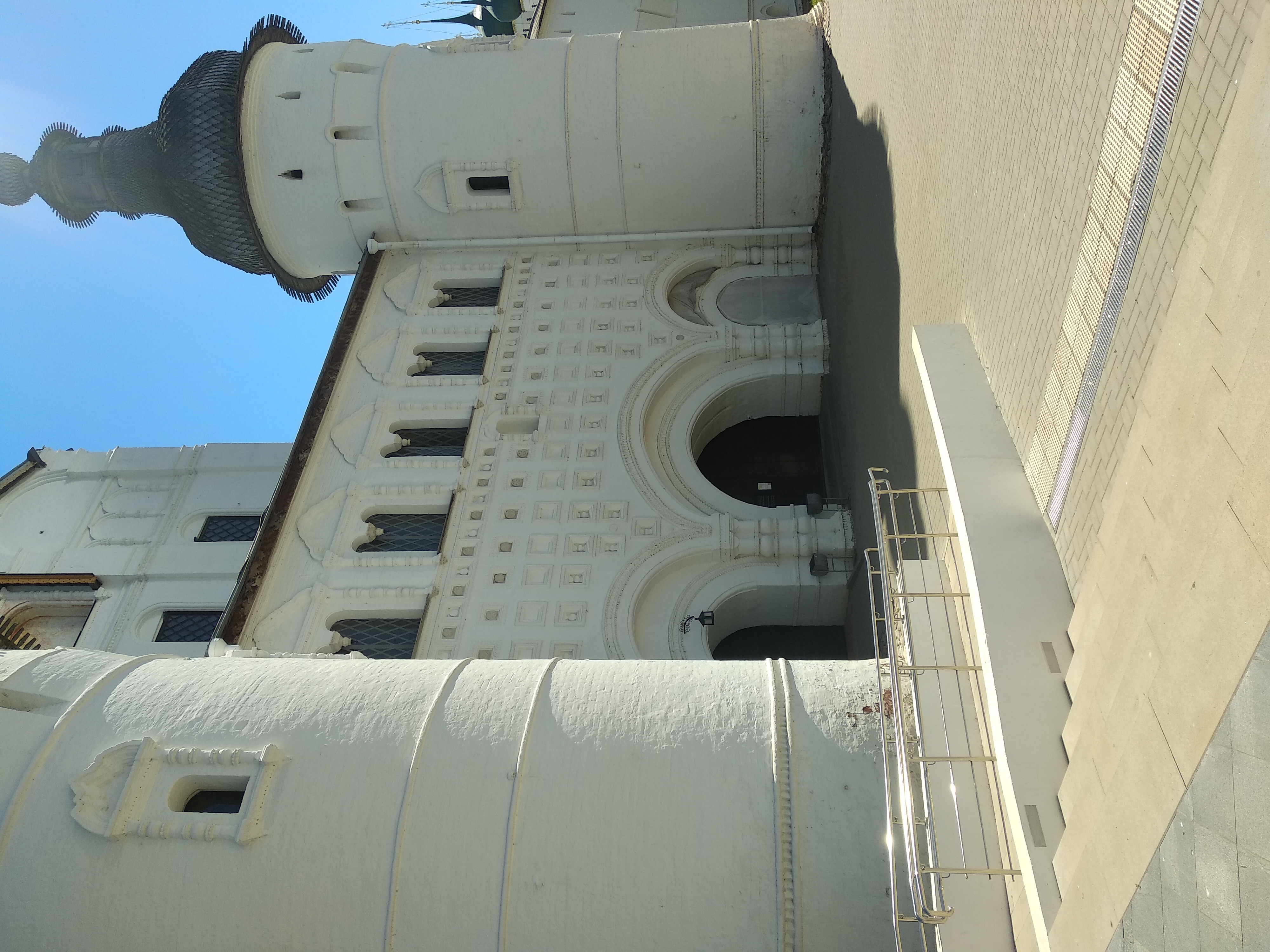 Фото Царевна-лягушка