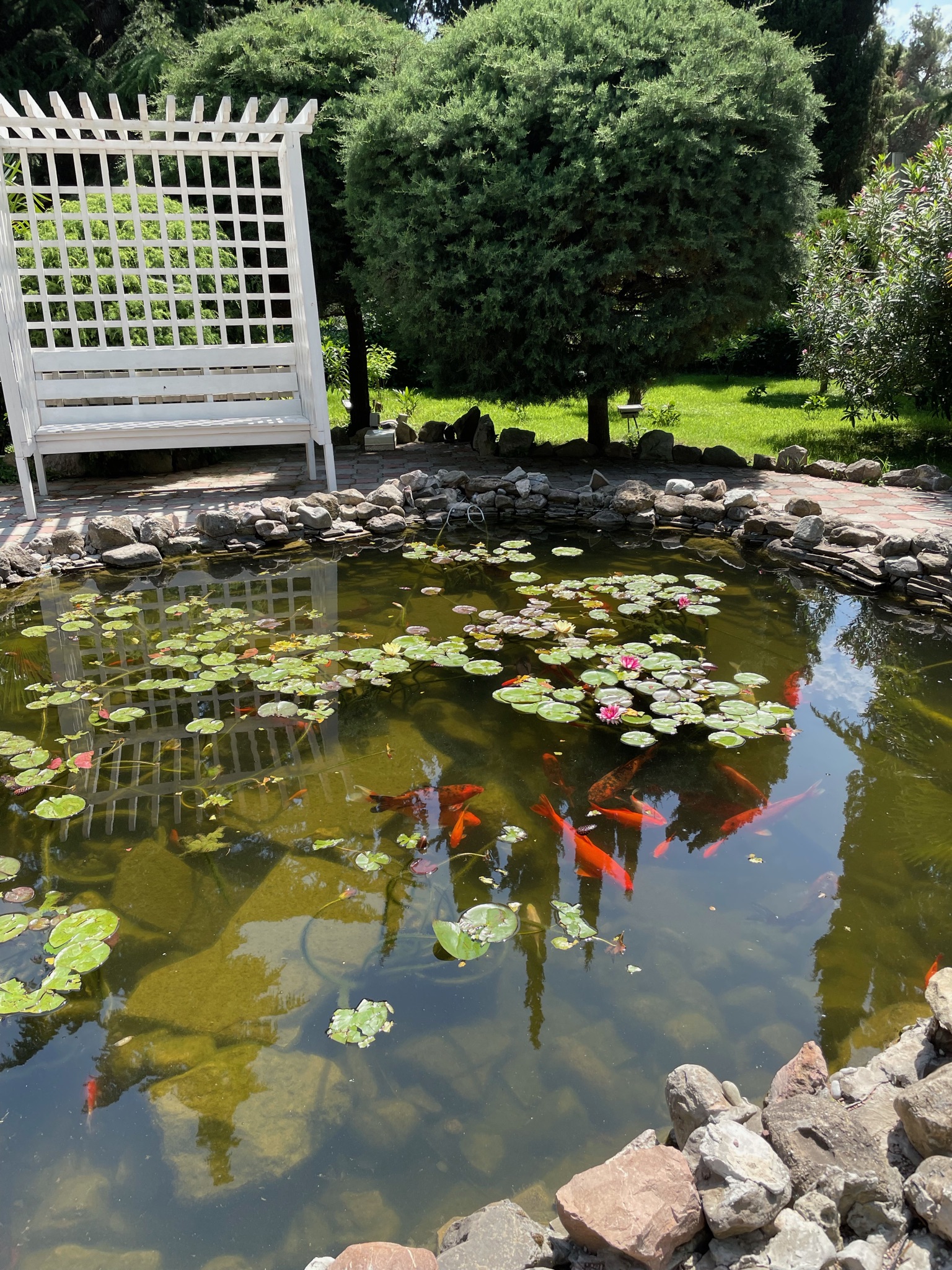 Фото Демерджи