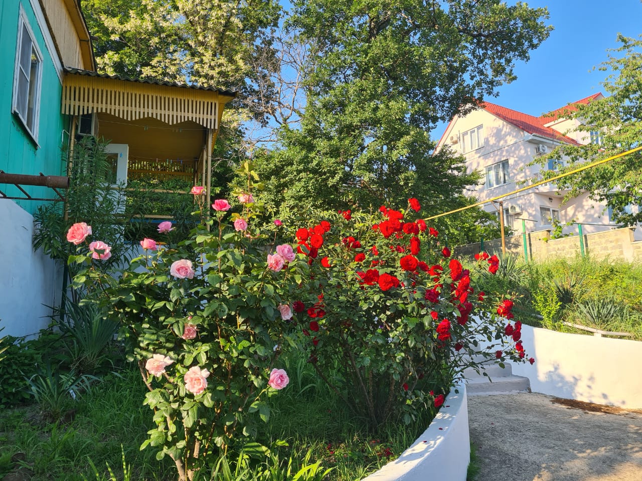 Фото Горизонт