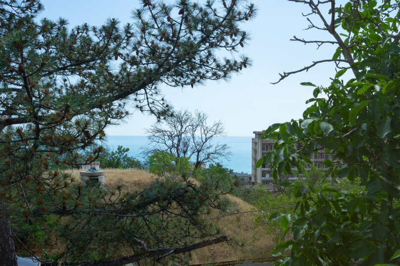 Фото Парадиз