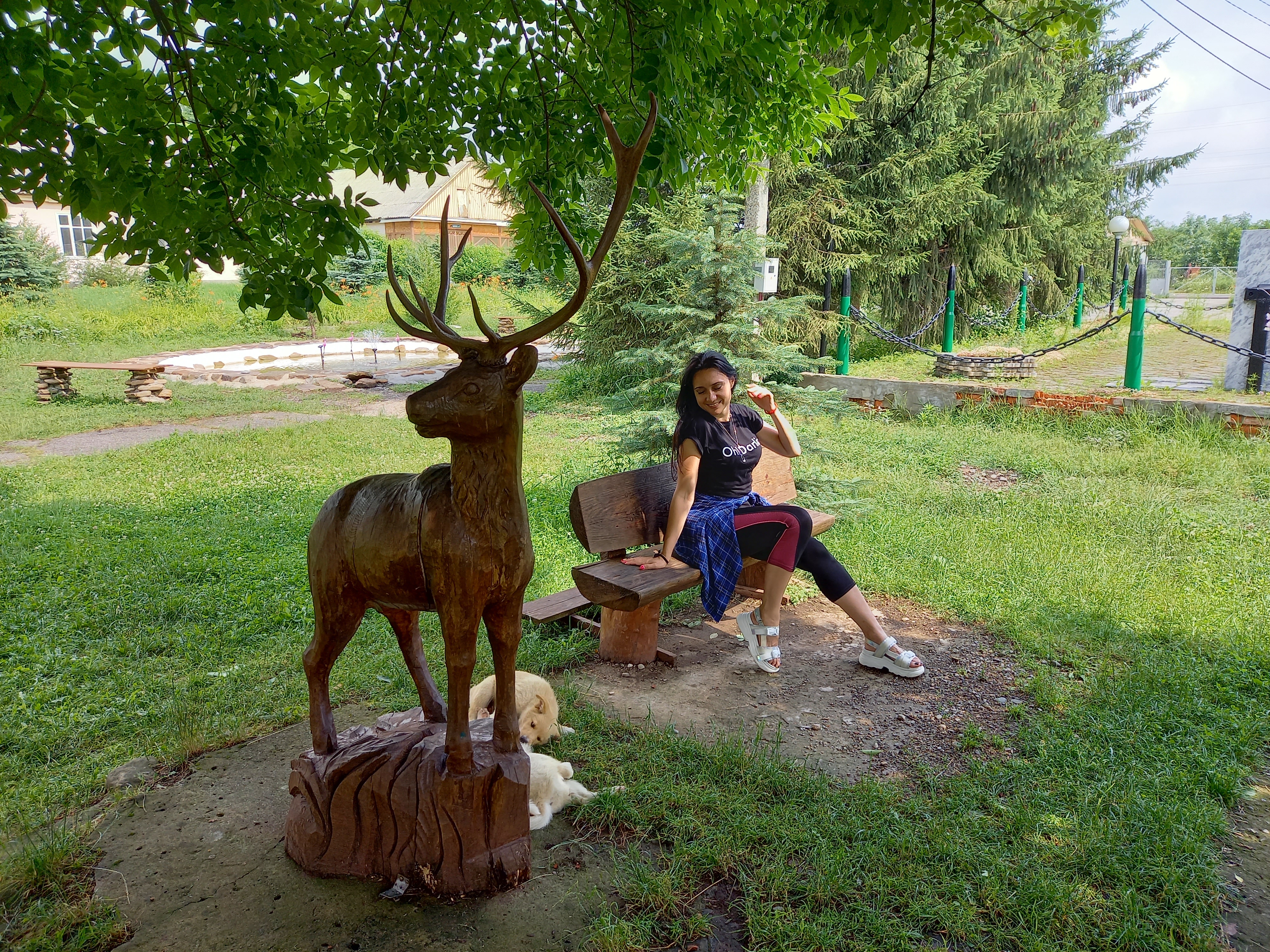 Фото Восход