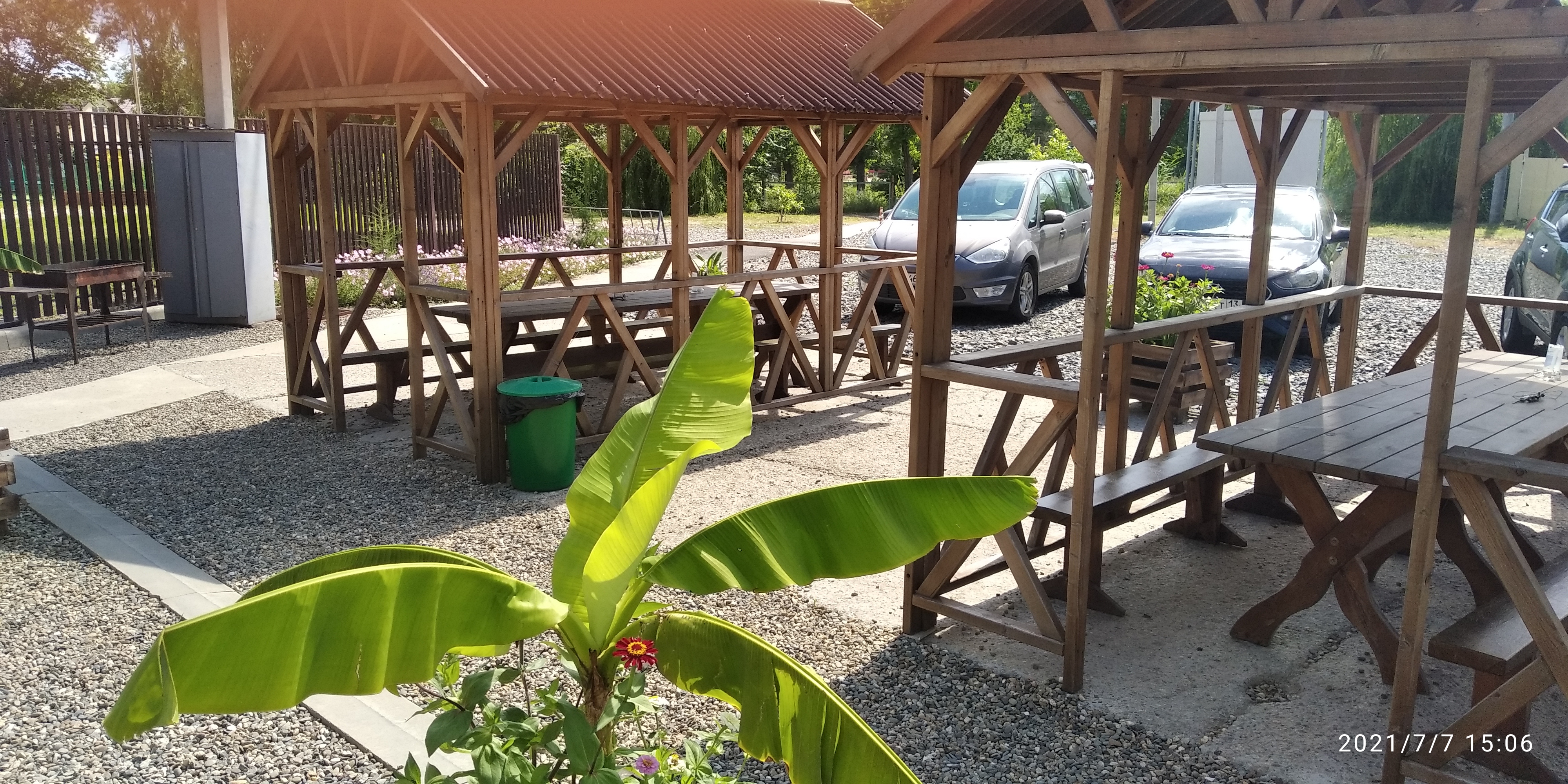 Фото Маэстро