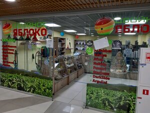 Dvoynoye yabloko (Karl Marx Street, 68), tobacco and smoking accessories shop
