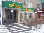 Cvetofor (просп. Металлургов, 15/1), доставка цветов и букетов в Темиртау