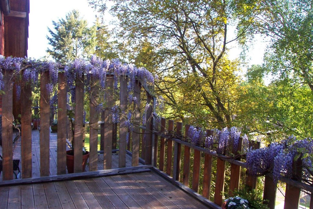 Фото Ökotel Hamburg