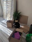 Pereezdoff (gorodskoy okrug Nizhniy Novgorod, Avtozavodskiy City District, Severniy Microdistrict, Borskaya Street, 17П), moving company