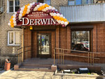 Derwin (Tsvillinga Street, 49А), zapatería
