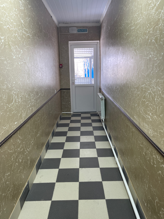 Фото Барракуда