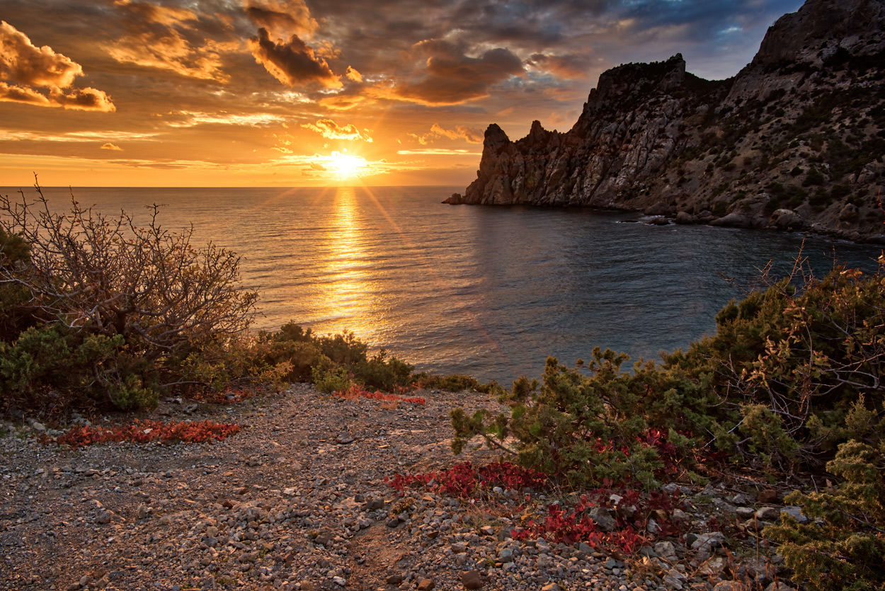 Фото Астерия Меганом