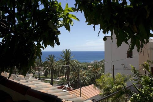 Фото Apartamentos Concha