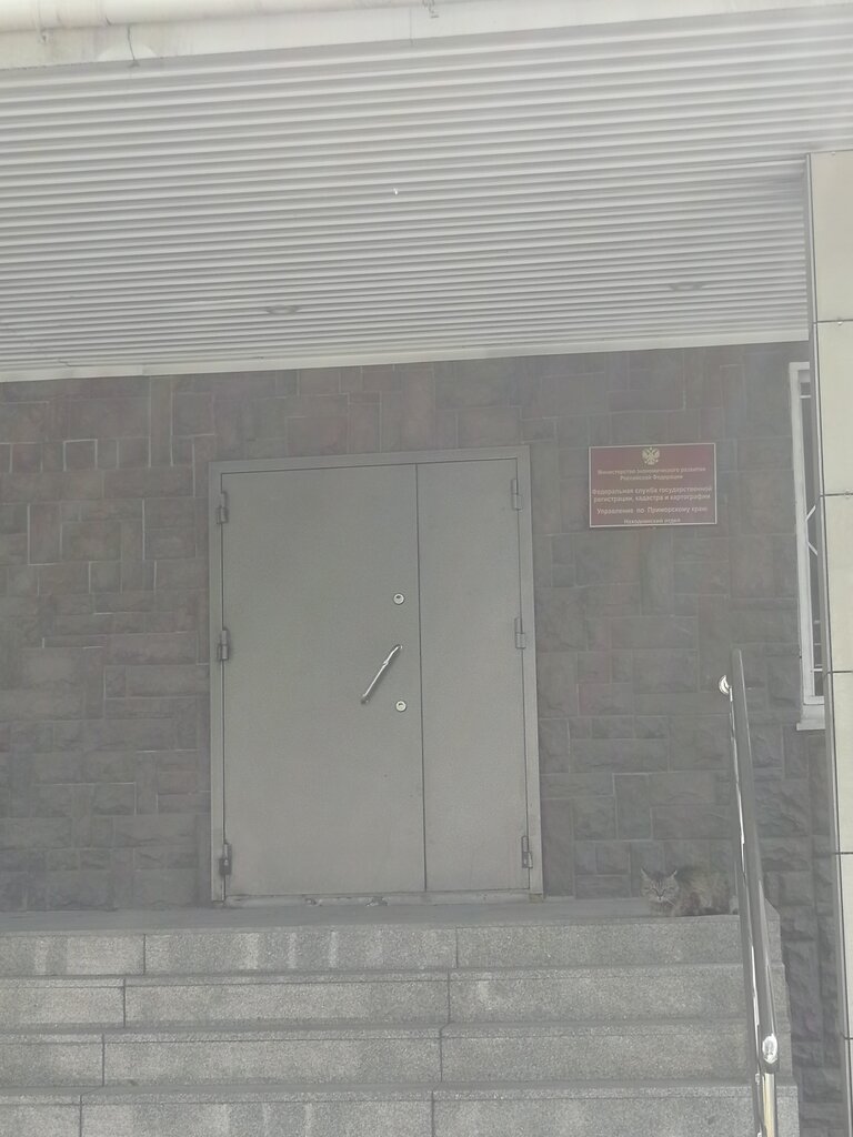 Управление Федеральной Службы Государственной Регистрации, Кадастра И  Картографии По Приморскому Краю, Регистрационная Палата, Красноармейская  Ул., 12, Находка, Россия — Яндекс.карты