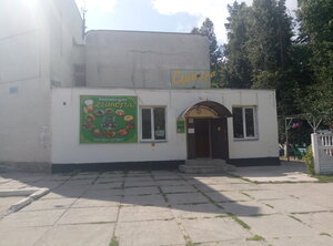 Ситора (ул. Курчатова, 3, Димитровград), кафе в Димитровграде