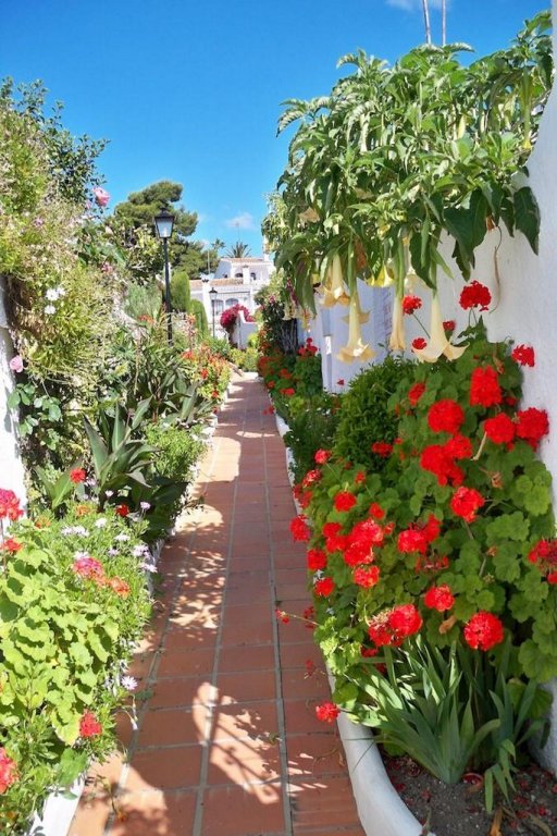 Фото El Capistrano Complejo de Apartamentos Turísticos