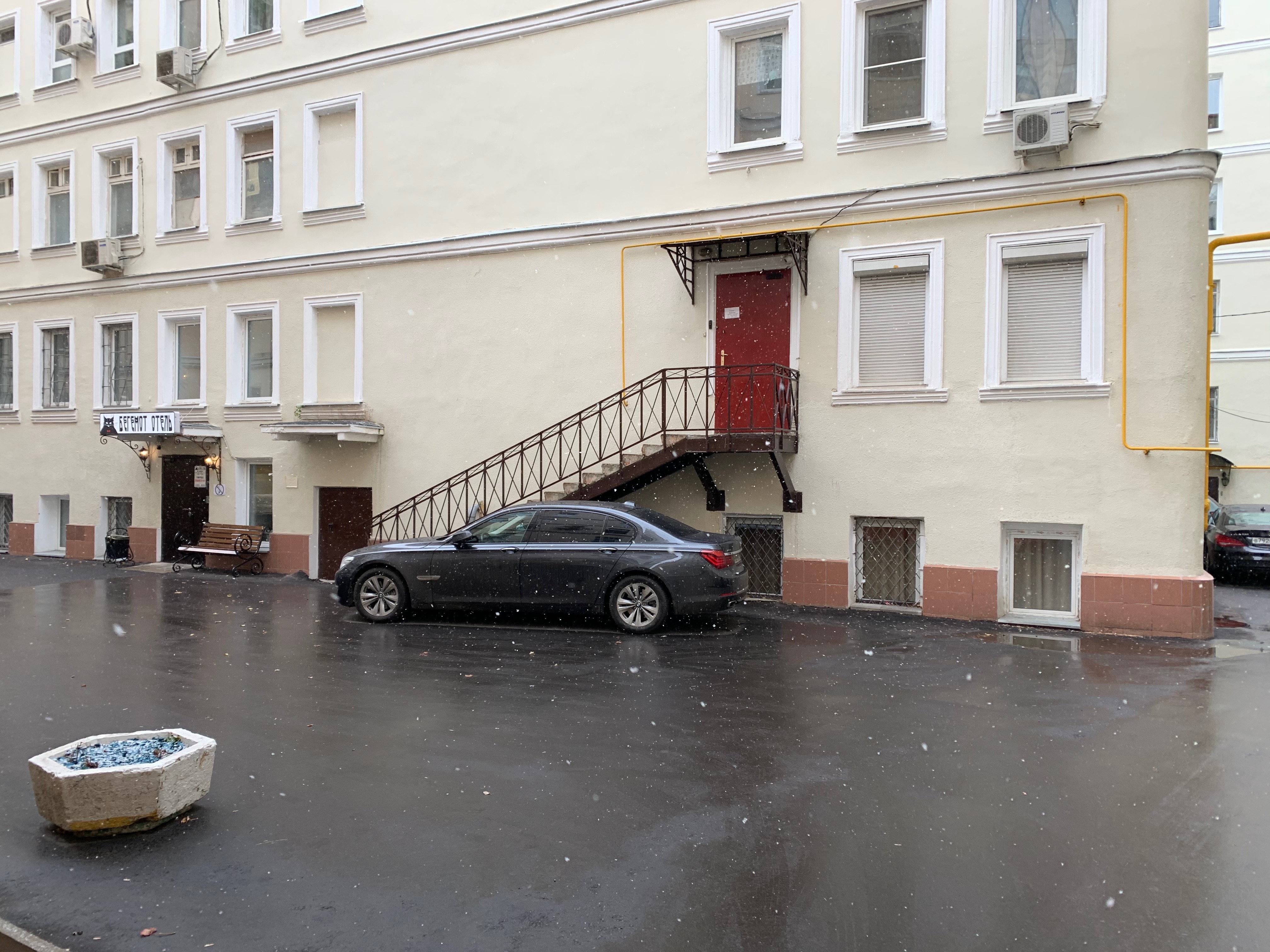 Фото Бегемот