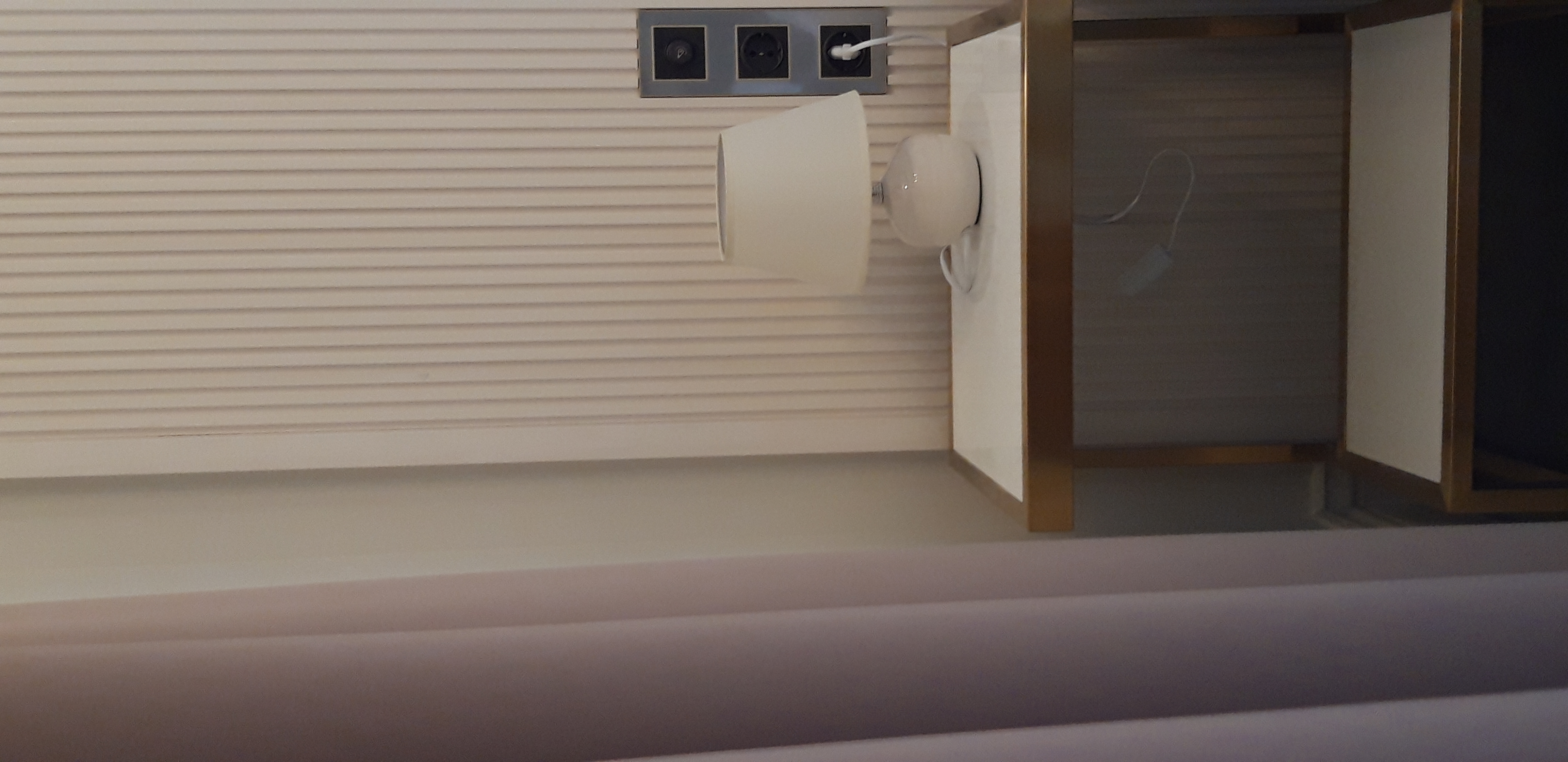 Фото Камелия