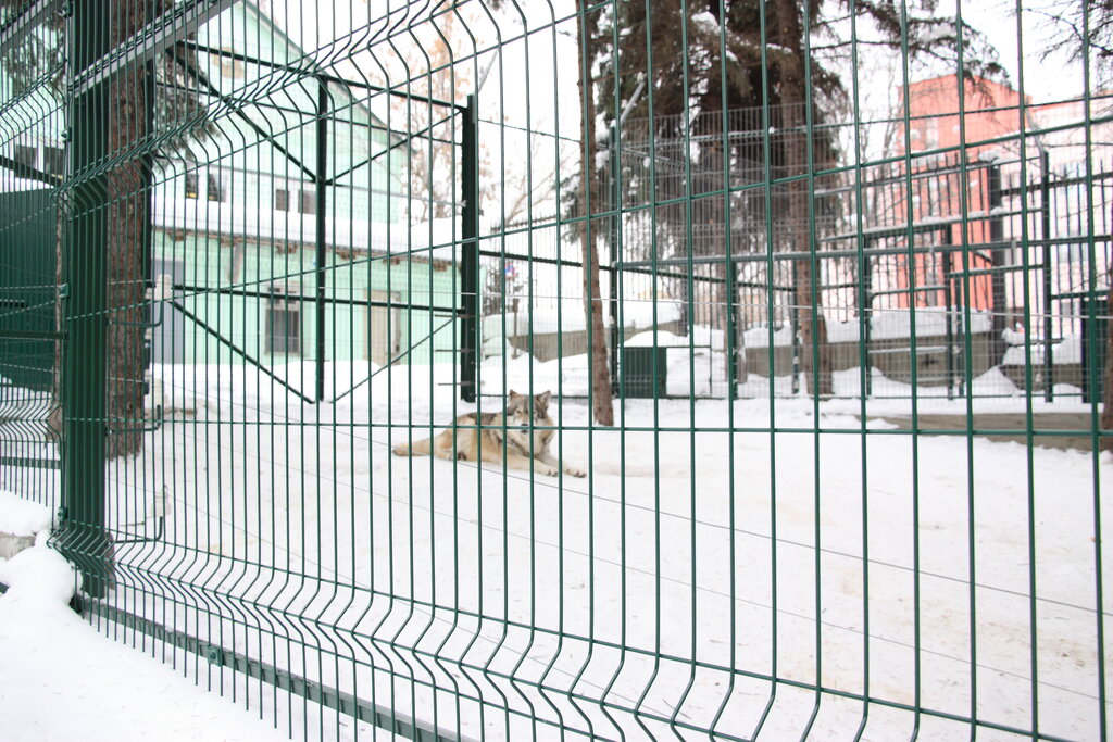Fences and barriers Zabor zaborov, Penza, photo