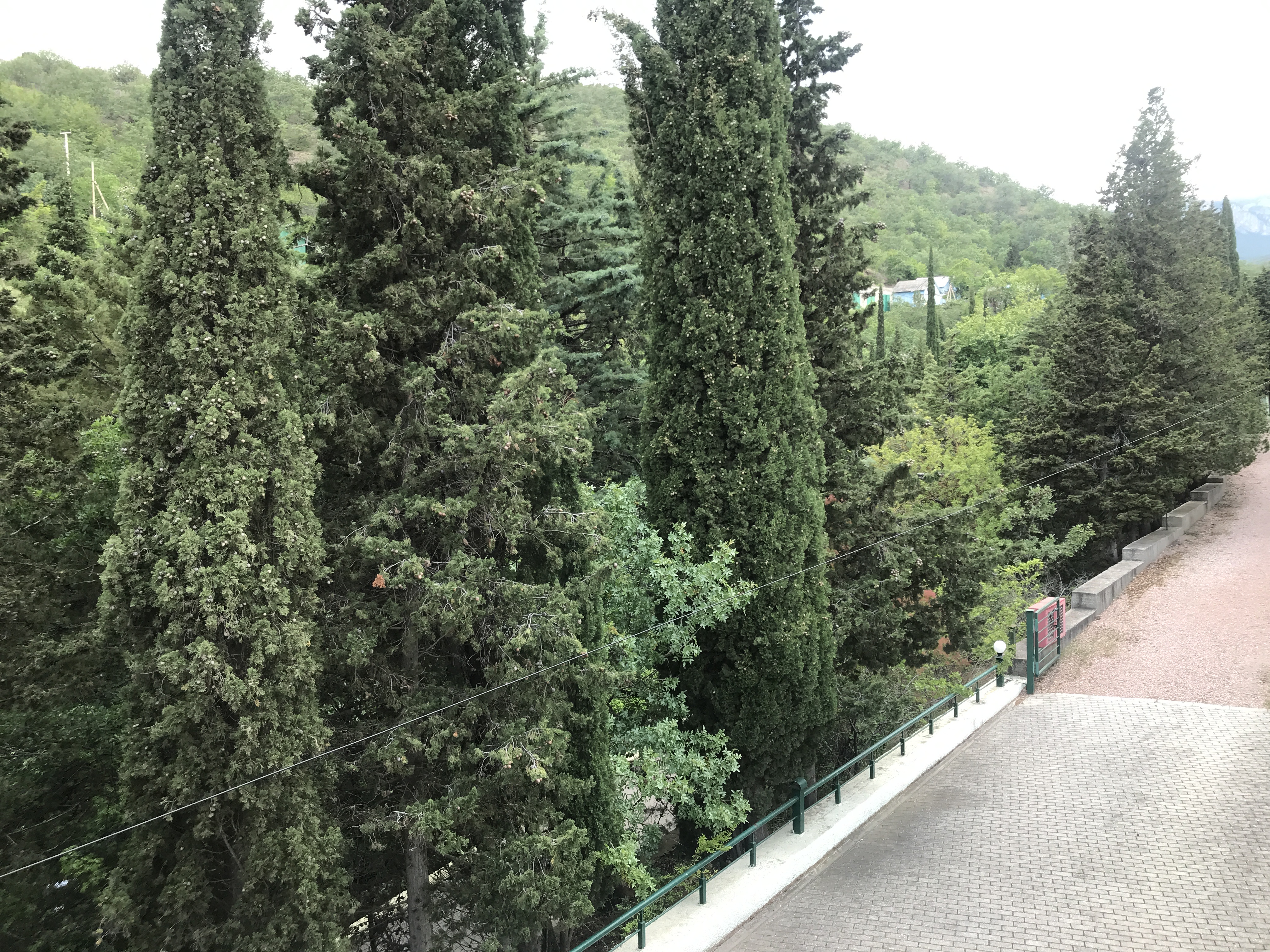 Фото Алые Паруса