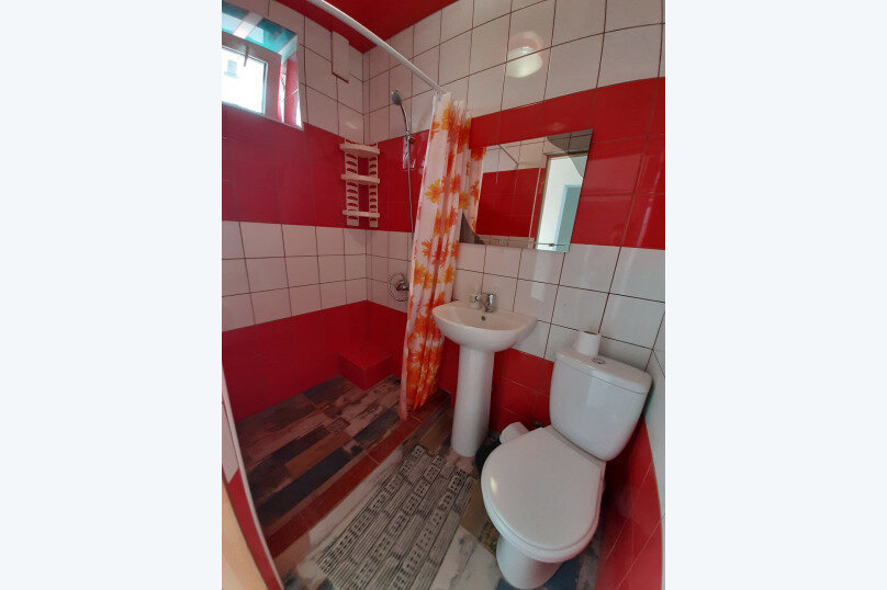 Фото Барракуда