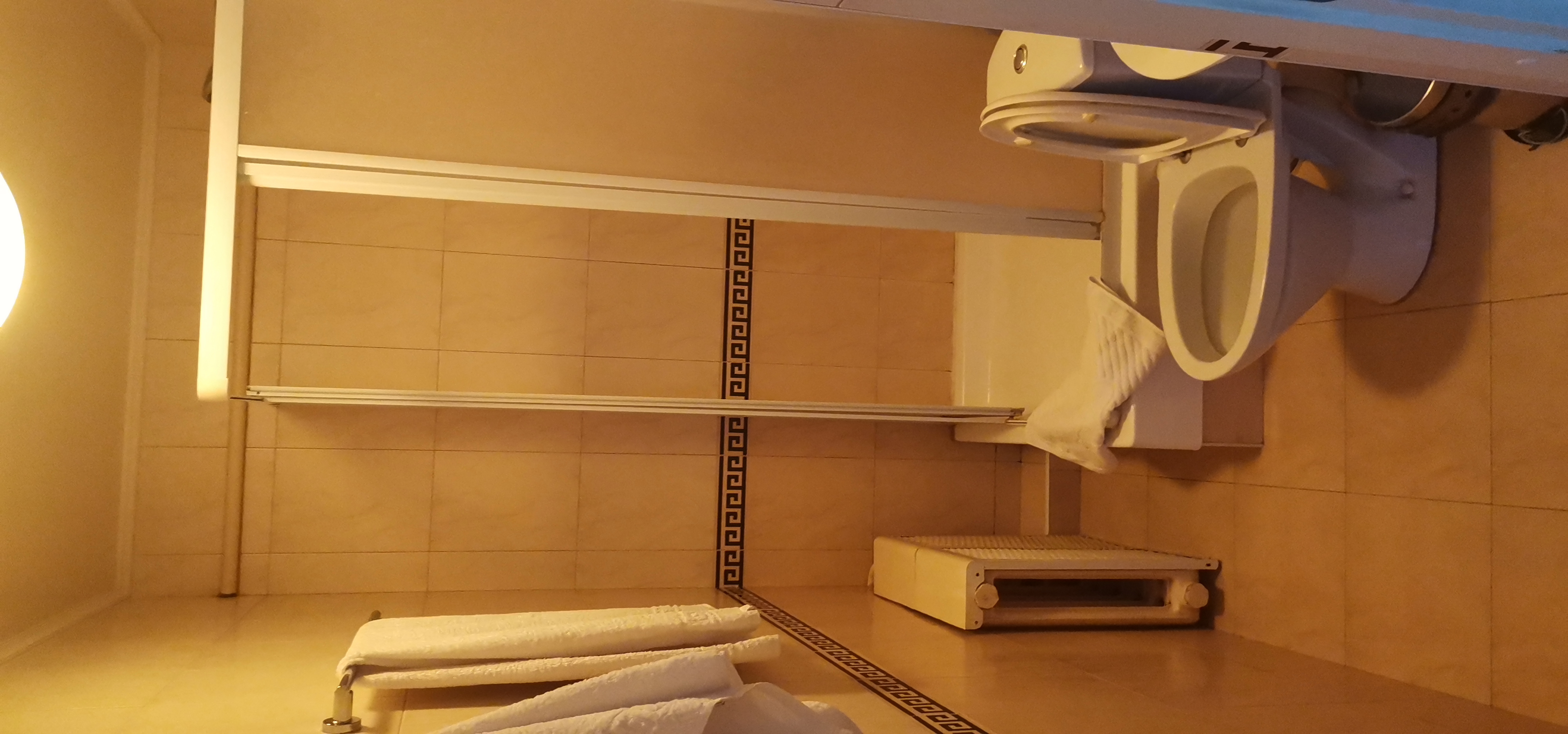 Фото Тюльпан