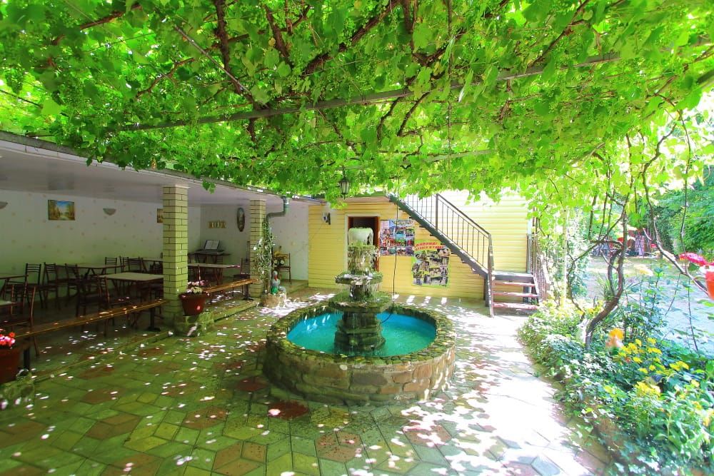 Фото Черноморская лоза