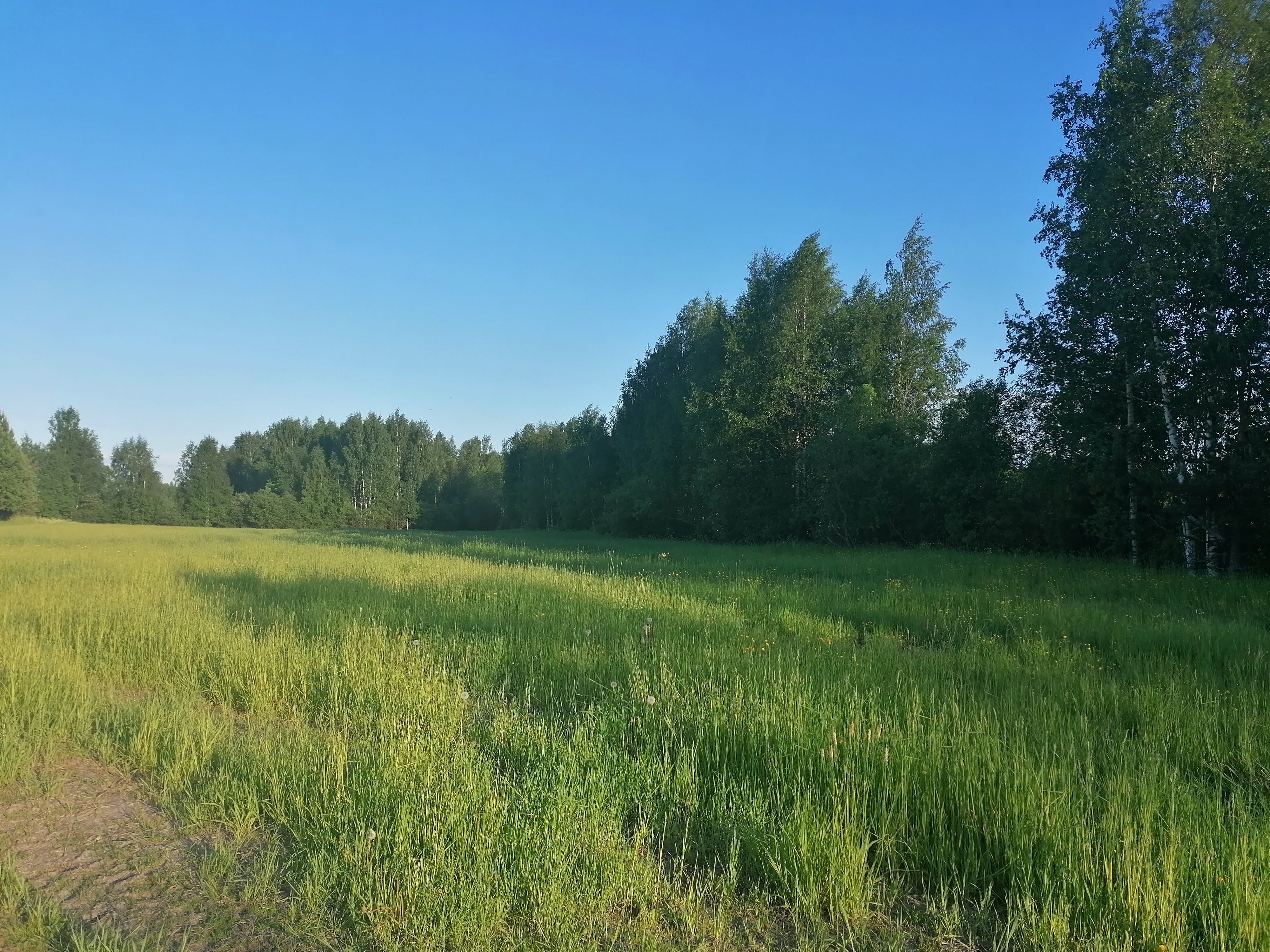 Фото Эко-хутор Ряйсяля