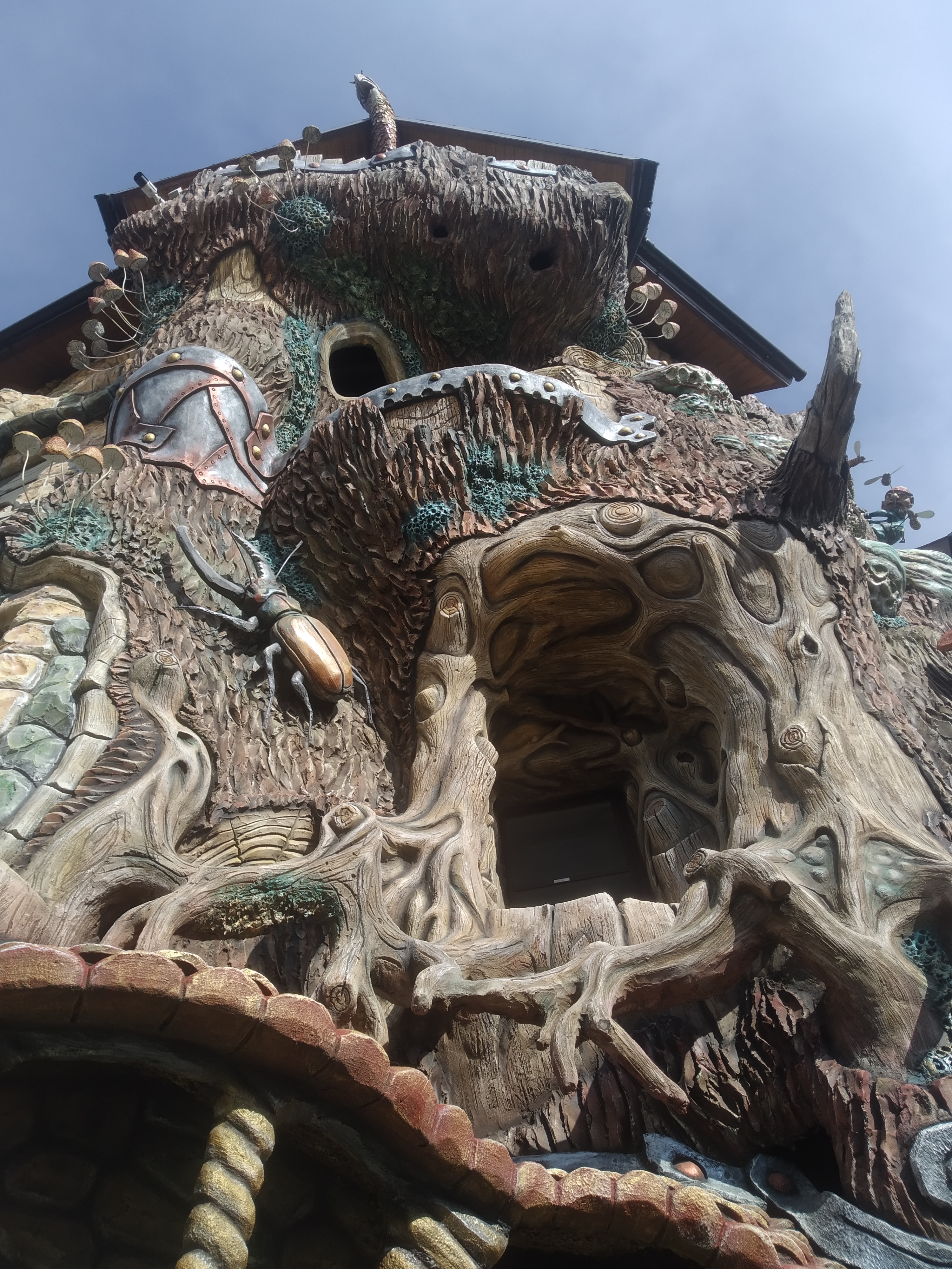 Фото Ковчег