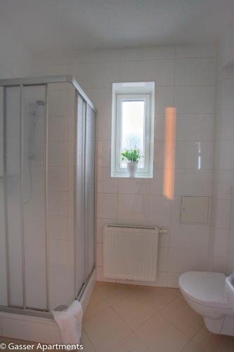 Фото Gasser Apartments - Apartments Karlskirche