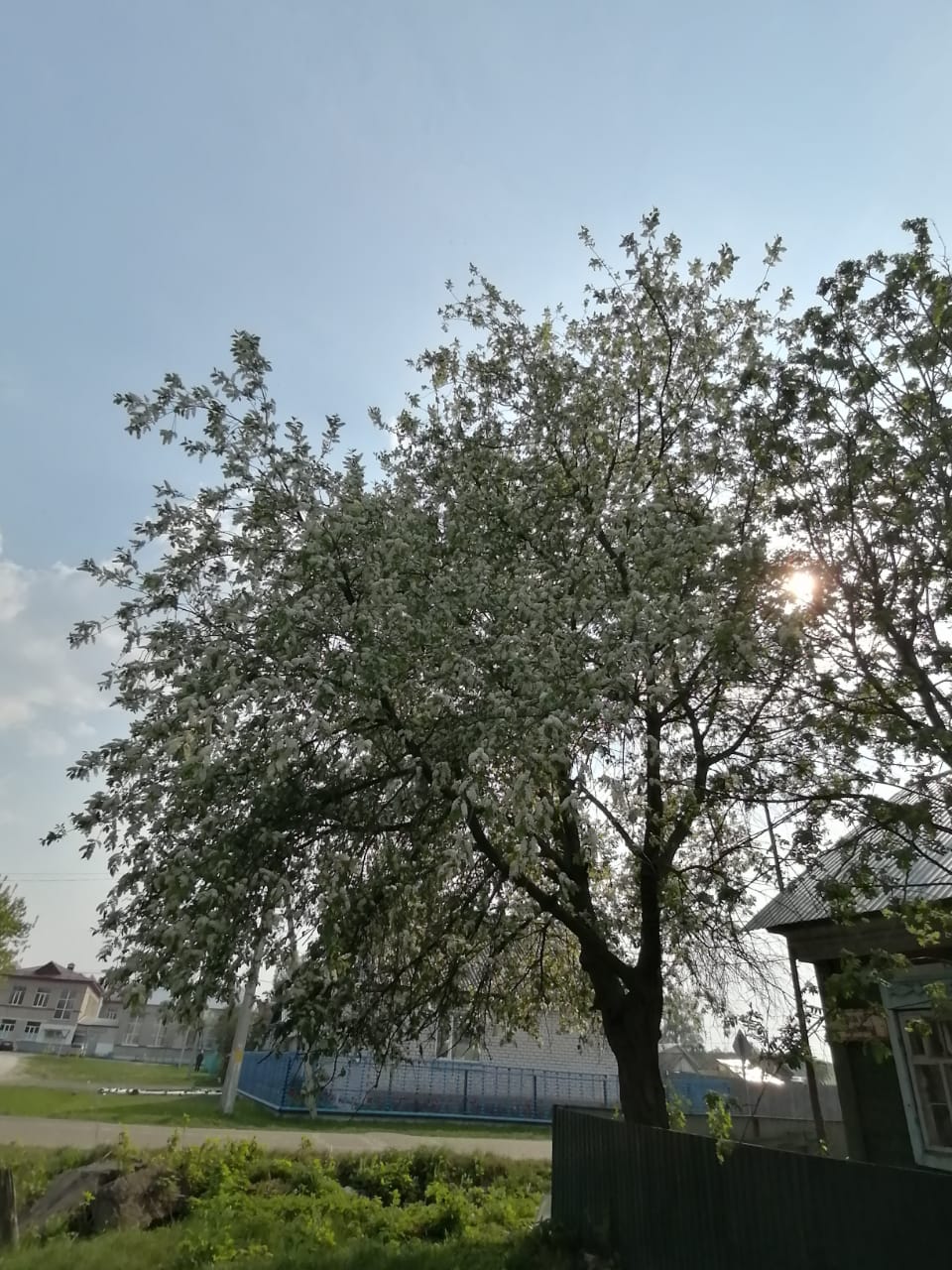 Фото Дом семьи Ивановых