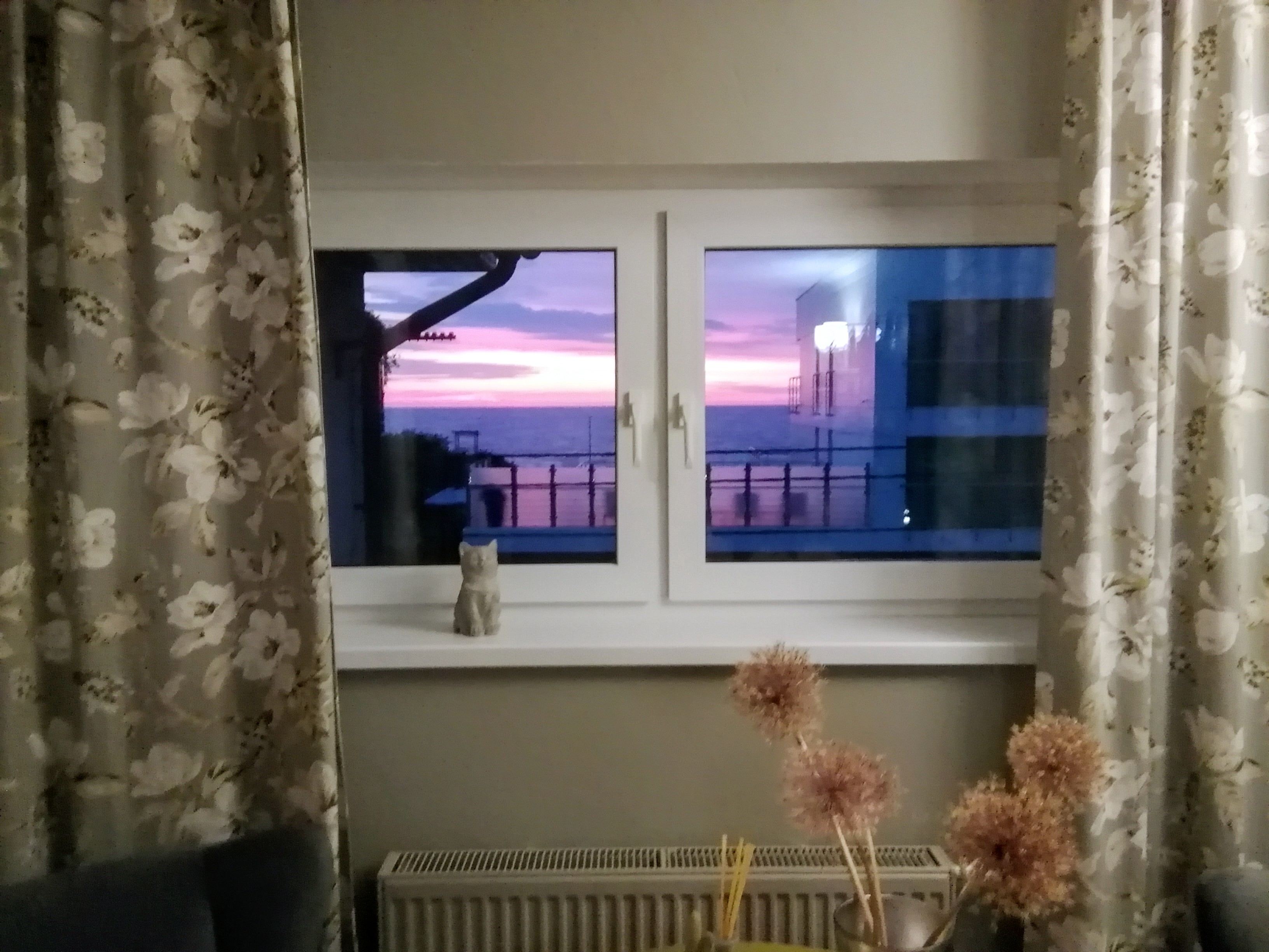 Фото Кошкин дом