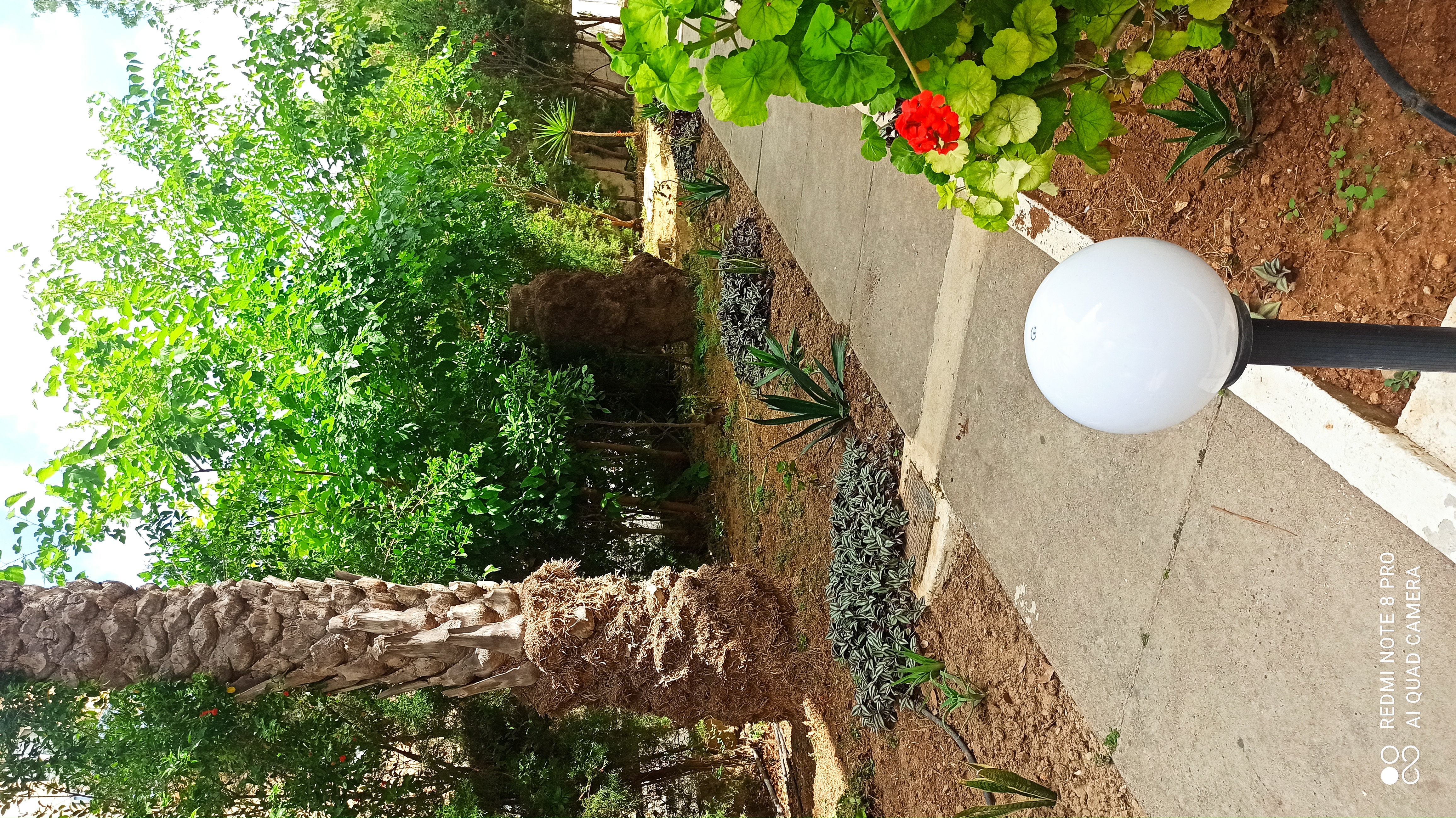 Фото Daphne Hotel Apartments